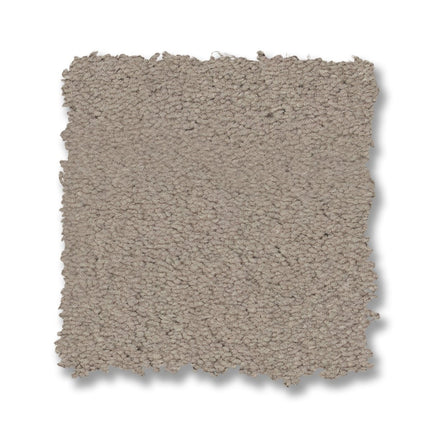 Finery - ZZ351_00157-Carpet