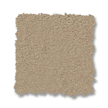Finery - ZZ351_00159-Carpet