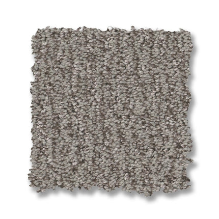 Fur-Ever - ZZ218_00342-Carpet