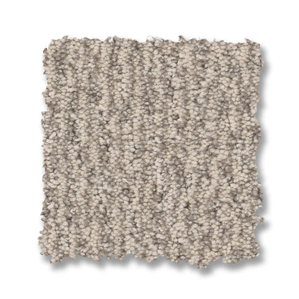 Fur-Ever - ZZ218_00152-Carpet