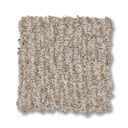 Fur-Ever - ZZ218_00173-Carpet
