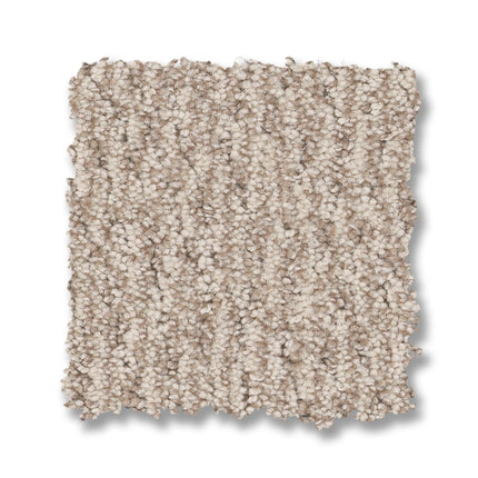 Fur-Ever - ZZ218_00272-Carpet