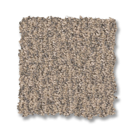 Fur-Ever - ZZ218_00252-Carpet