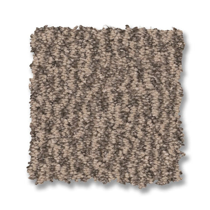 Fur-Ever - ZZ218_00273-Carpet