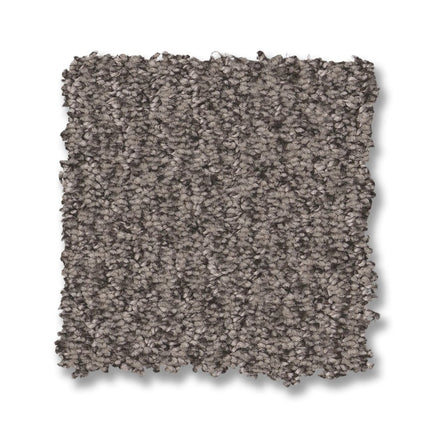 Fur-Ever - ZZ218_00557-Carpet