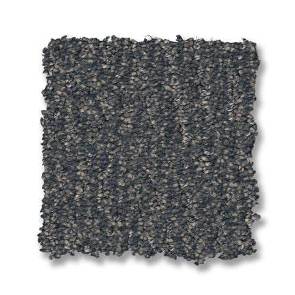 Fur-Ever - ZZ218_00435-Carpet