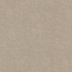 Practical Beige