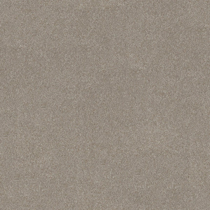 Good Move I - 5E906_00720-Carpet