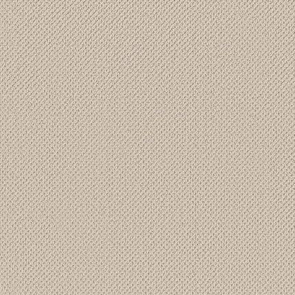 Gracious - ZZ325-00172-Carpet