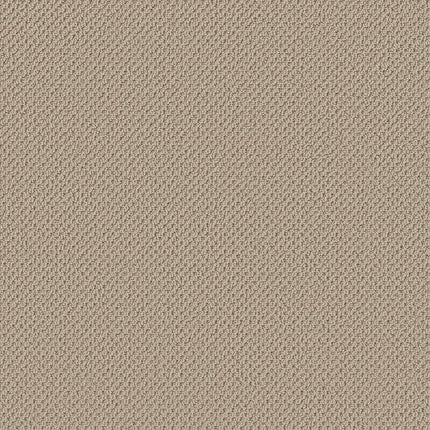 Gracious - ZZ325-00151-Carpet