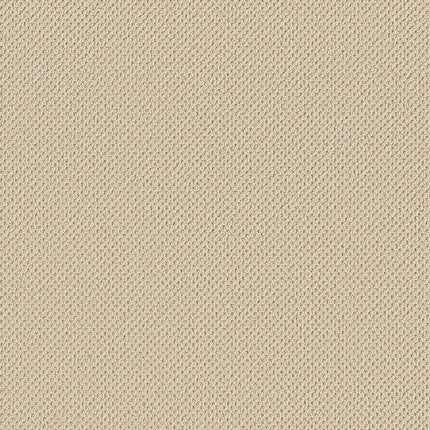 Gracious - ZZ325-00140-Carpet