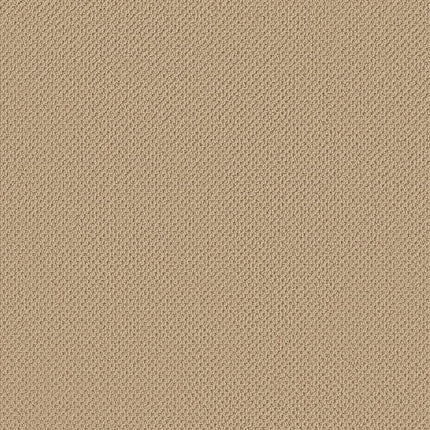 Gracious - ZZ325-00201-Carpet