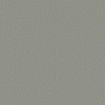 Gracious - ZZ325-00441-Carpet
