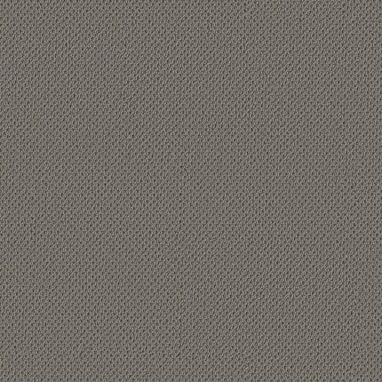 Gracious - ZZ325-00542-Carpet