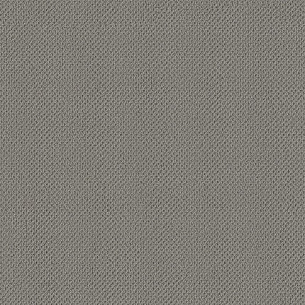 Gracious - ZZ325-00541-Carpet