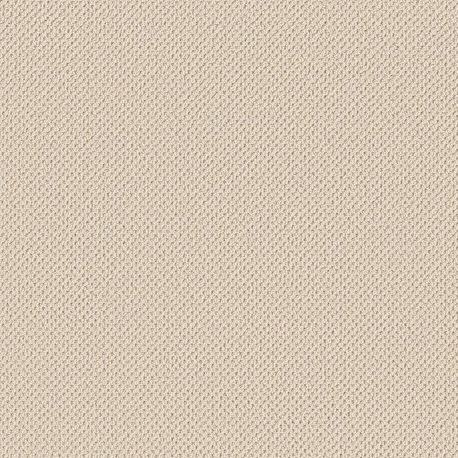 Gracious - ZZ325-00100-Carpet