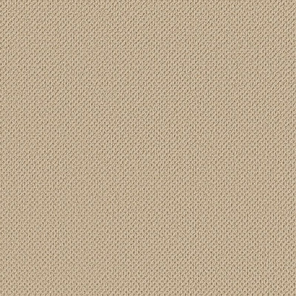 Gracious - ZZ325-00141-Carpet