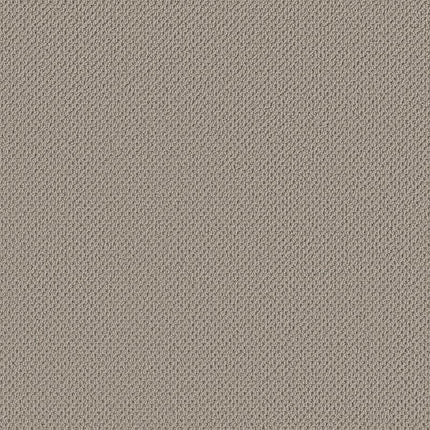 Gracious - ZZ325-00550-Carpet