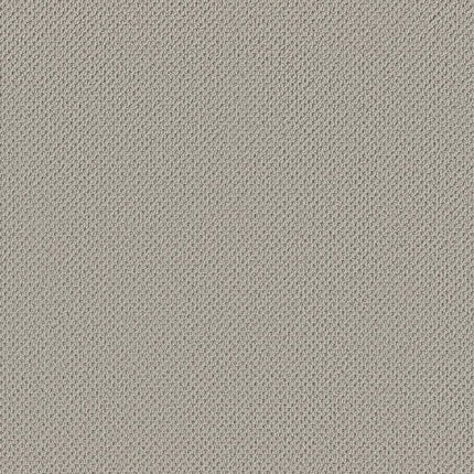 Gracious - ZZ325-00540-Carpet