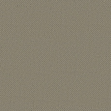 Gracious - ZZ325-00750-Carpet