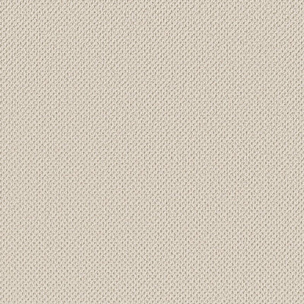 Gracious - ZZ325-00194-Carpet