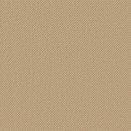 Gracious - ZZ325-00142-Carpet