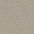 Pumice Stone