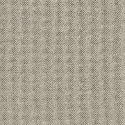 Gracious - ZZ325-00143-Carpet