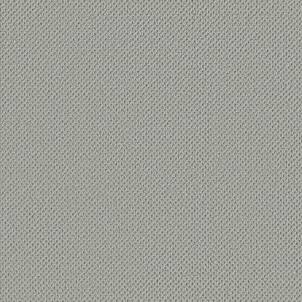 Gracious - ZZ325-00440-Carpet