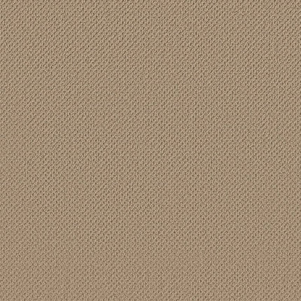 Gracious - ZZ325-00105-Carpet
