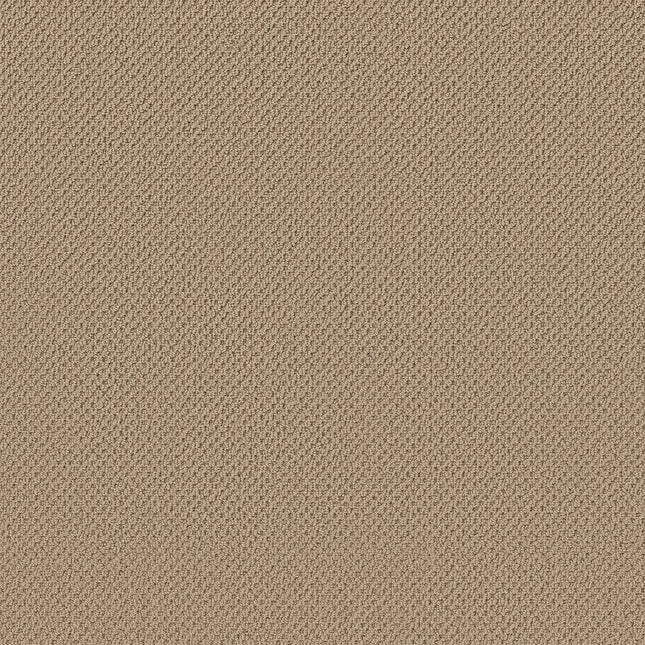 Gracious - ZZ325-00105-Carpet