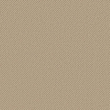Gracious - ZZ325-00133-Carpet