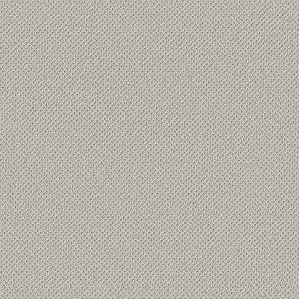 Gracious - ZZ325-00490-Carpet