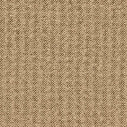 Gracious - ZZ325-00241-Carpet