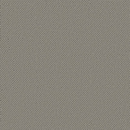 Gracious - ZZ325-00570-Carpet