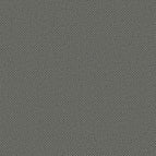 Smoky Gray