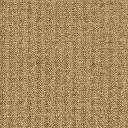 Gracious - ZZ325-00240-Carpet