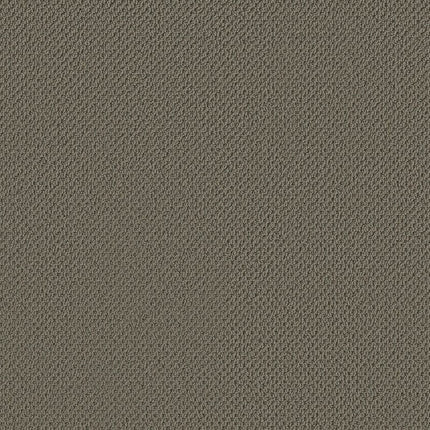 Gracious - ZZ325-00340-Carpet