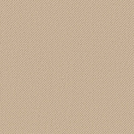 Gracious - ZZ325-00200-Carpet
