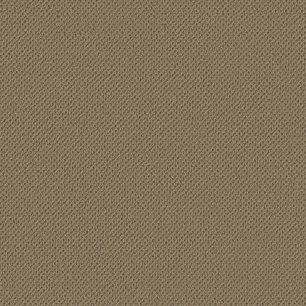 Gracious - ZZ325-00740-Carpet