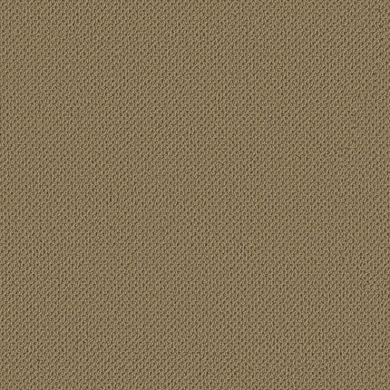 Gracious - ZZ325-00702-Carpet