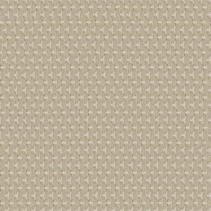 Havencrest - ZZ318-00221-Carpet
