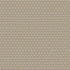 Cashmere