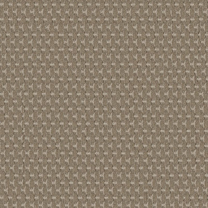 Havencrest - ZZ318-00782-Carpet