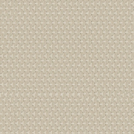 Havencrest - ZZ318-00212-Carpet