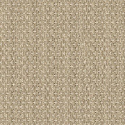 Havencrest - ZZ318-00214-Carpet