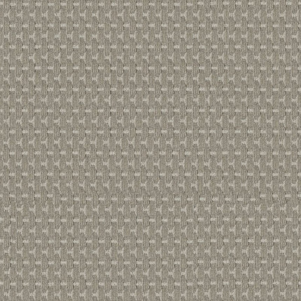 Havencrest - ZZ318-00571-Carpet