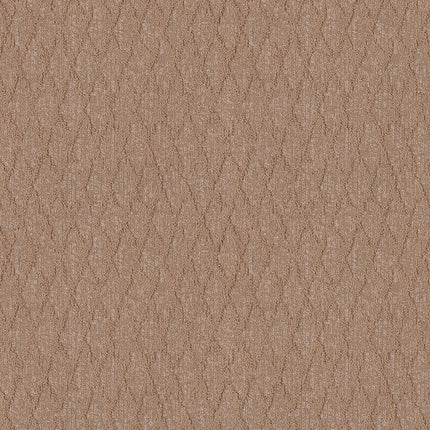 Illumination - ZZ337-00273-Carpet