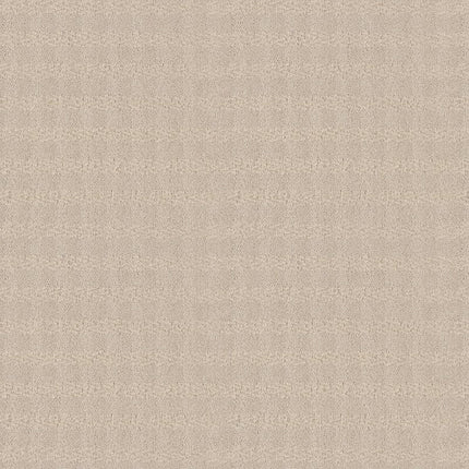 Imagination - ZZ336-00111-Carpet