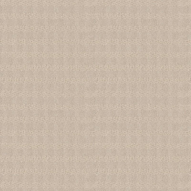 Imagination - ZZ336-00111-Carpet